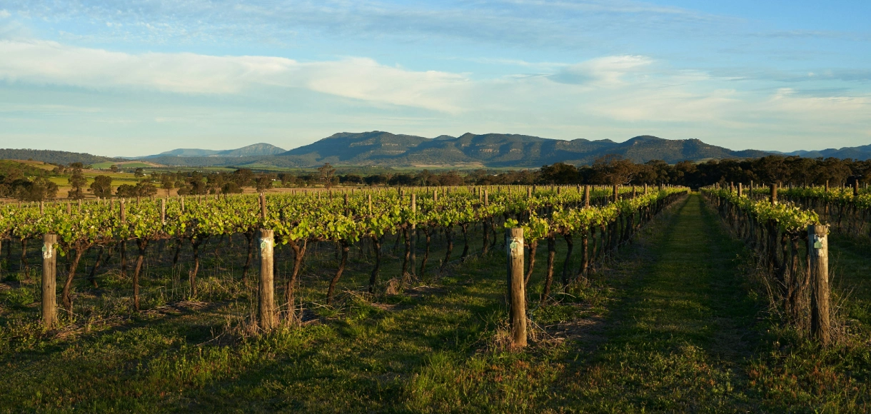 the local region landscape